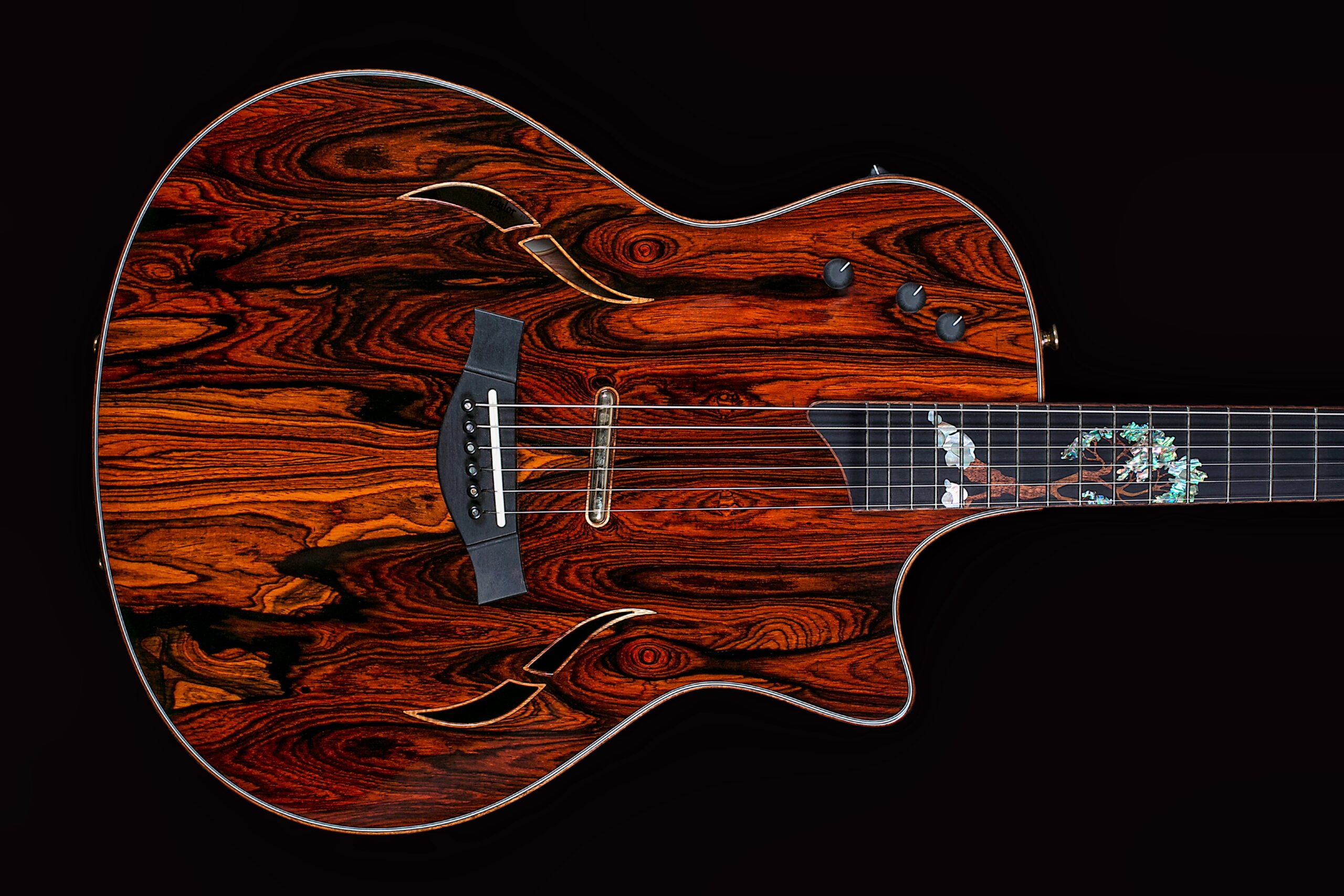 Taylor Custom T5 Cocobolo (2015)