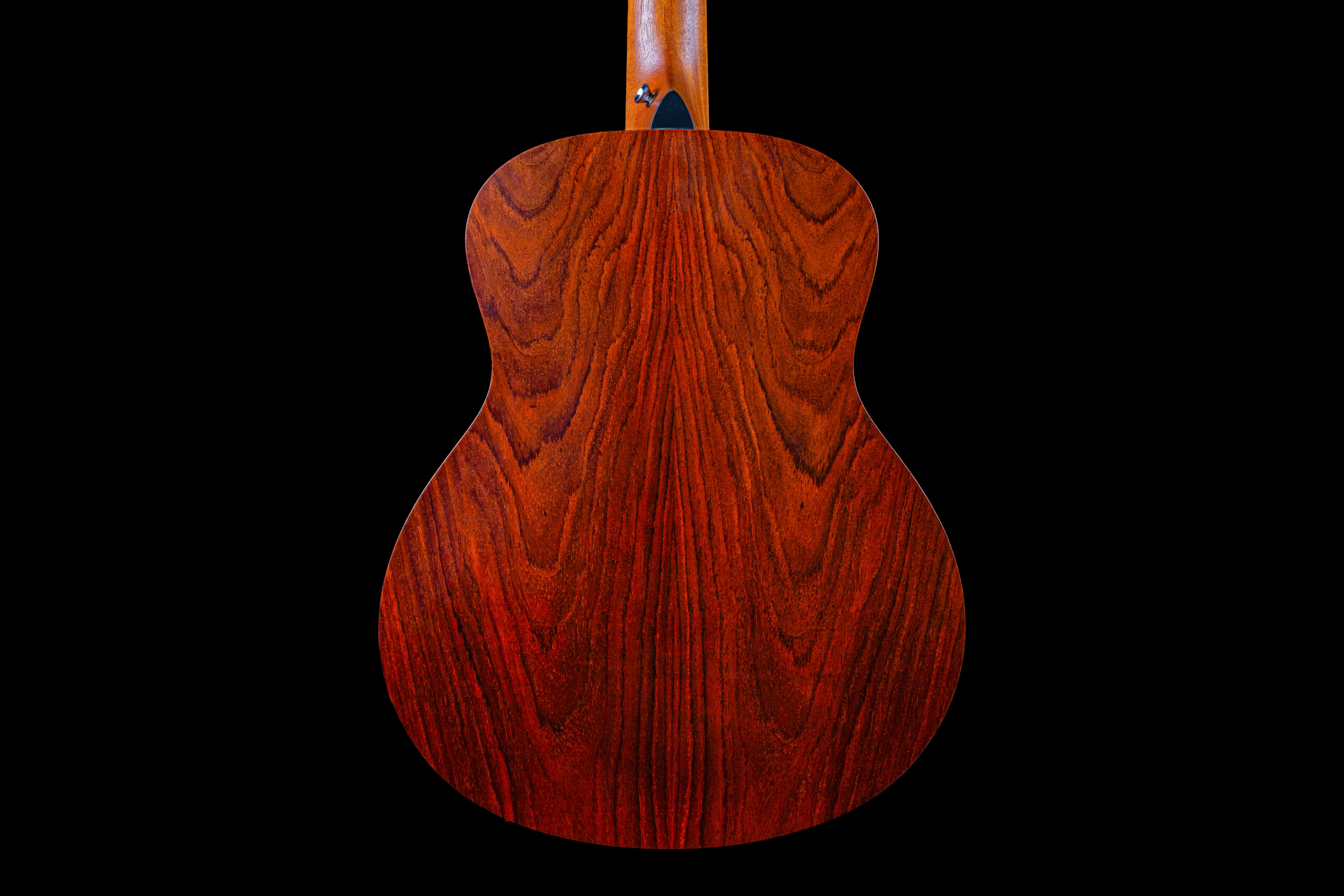 Taylor GS Mini-E Prototype Cocobolo (2019)
